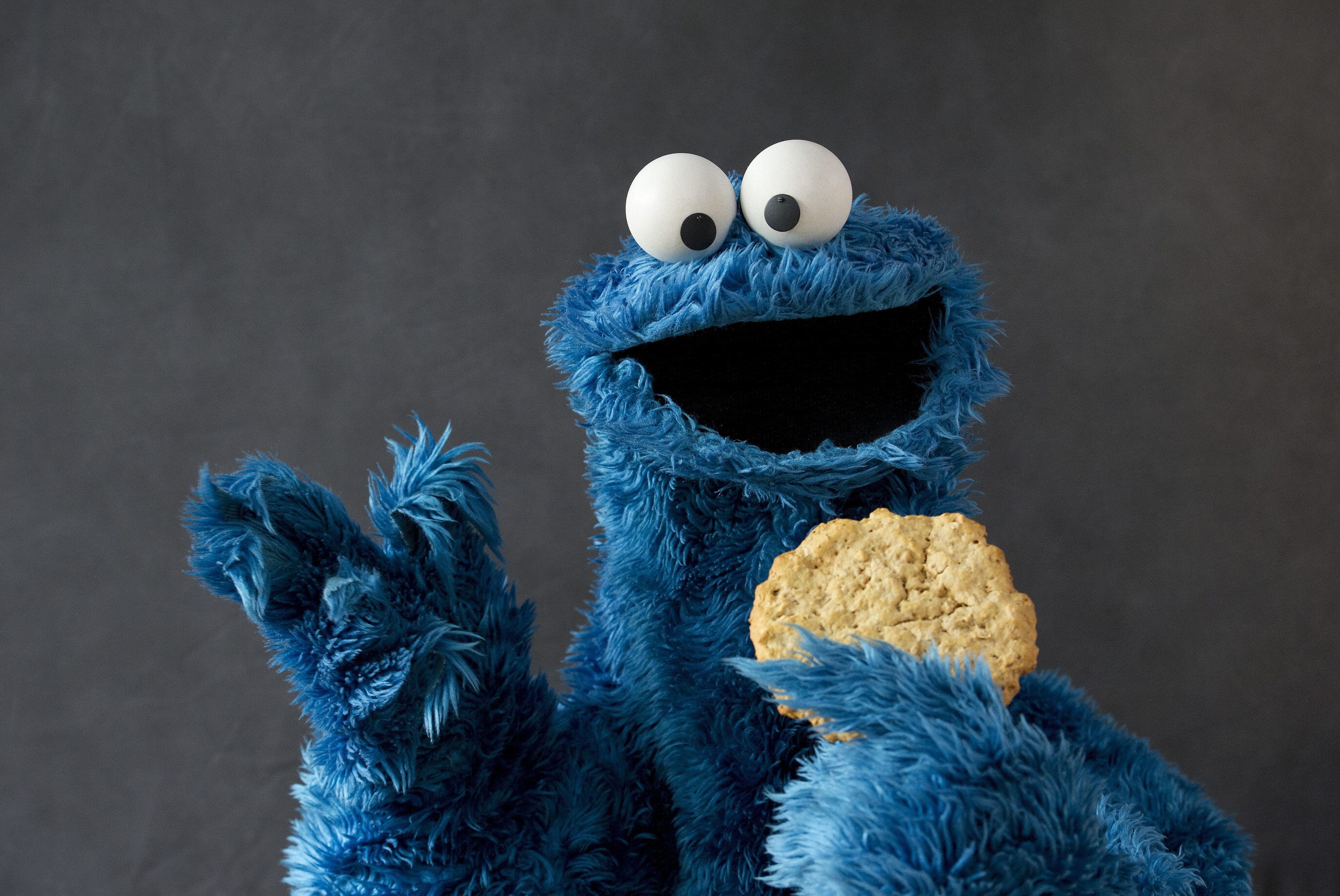 Sesame Street's Cookie Monster made a special appearance at the Chicago Cubs game - Source: Imagn Images